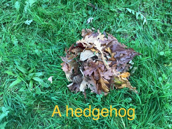 D85C2F12-3236-4768-8346-EEBE2F757AC3