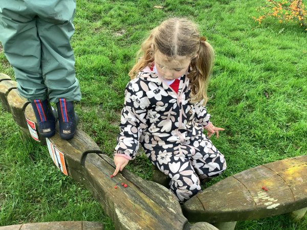 E25FA4AF-8EB0-4541-88E1-FC377DC62477