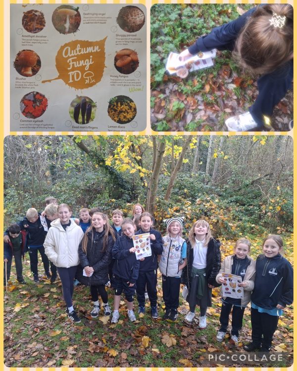 E2D22DA6-7D90-4A80-AB8D-A5D4965FB3F9