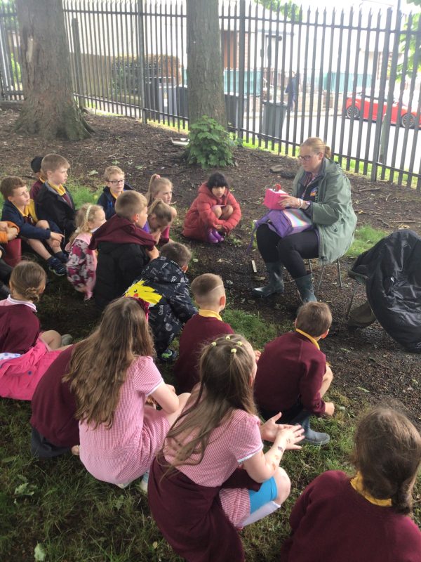 E324E373-559C-40FC-AA07-506F4C068940