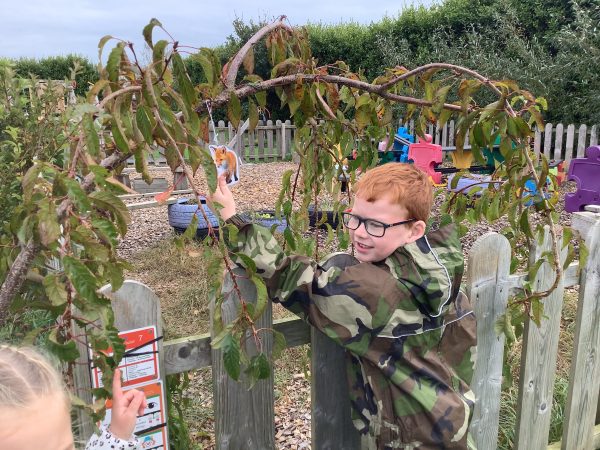 E33361DF-56C2-48B4-9B78-4D0F1D31E718