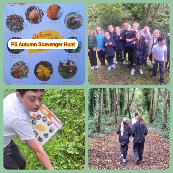 E98E529F-8AE4-4A5D-BA3D-B0140D78524B