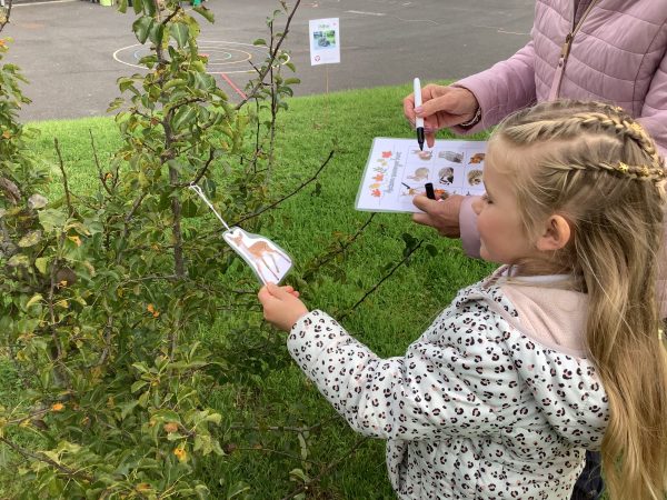 F371536F-B13E-4825-909C-7481AA47A44E