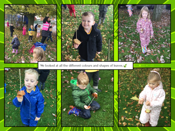 FD0CE828-8F4D-4766-A77E-DB4E93C882B3