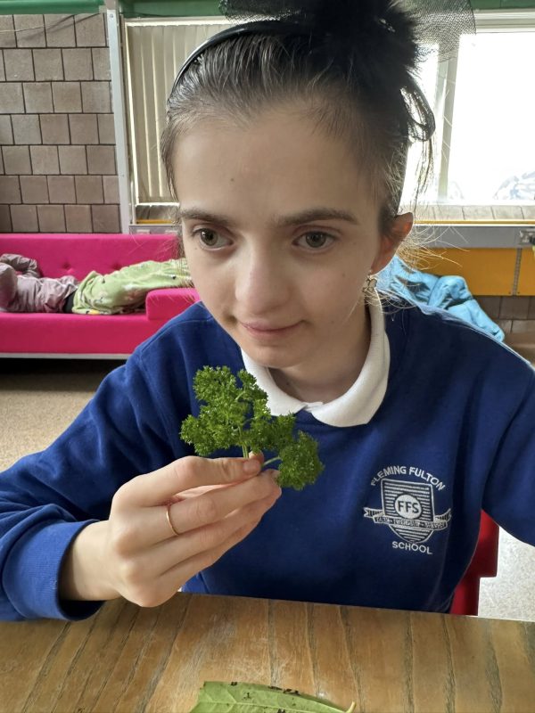 Forest-School-Treasure2