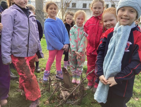 Hedgehog-nest-with-protection