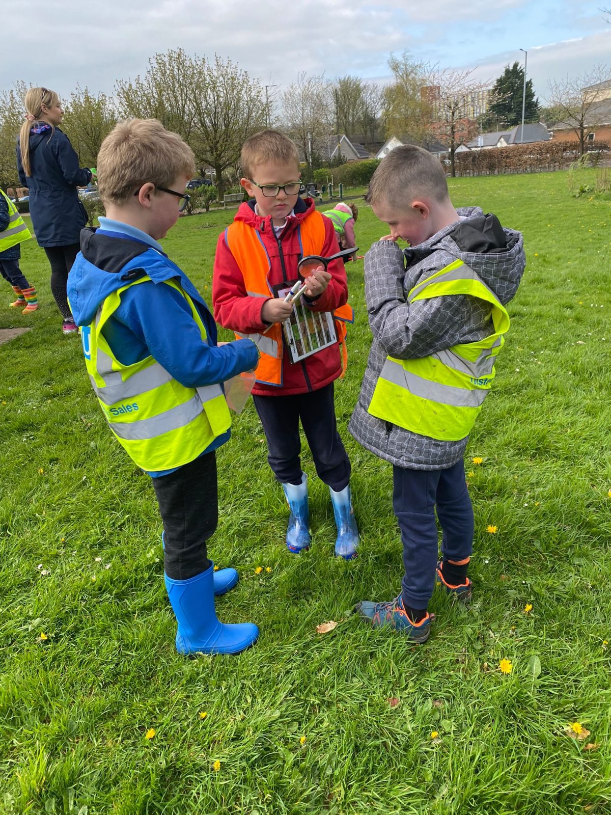 Additional Forest School Leader Level 3 Package Forest Schools In additional-forest-school-leader-level-3-package-forest-schools-in