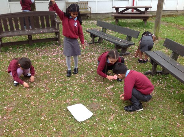 IMG_1205