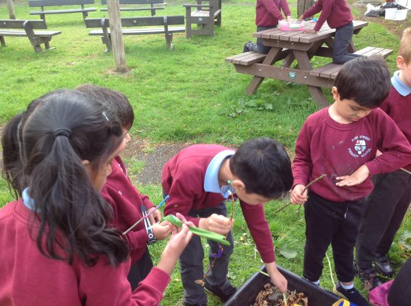 IMG_1248