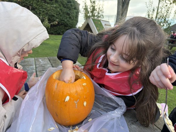 IMG_5161