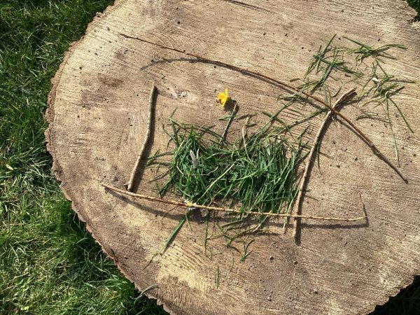 Nature-Pictures
