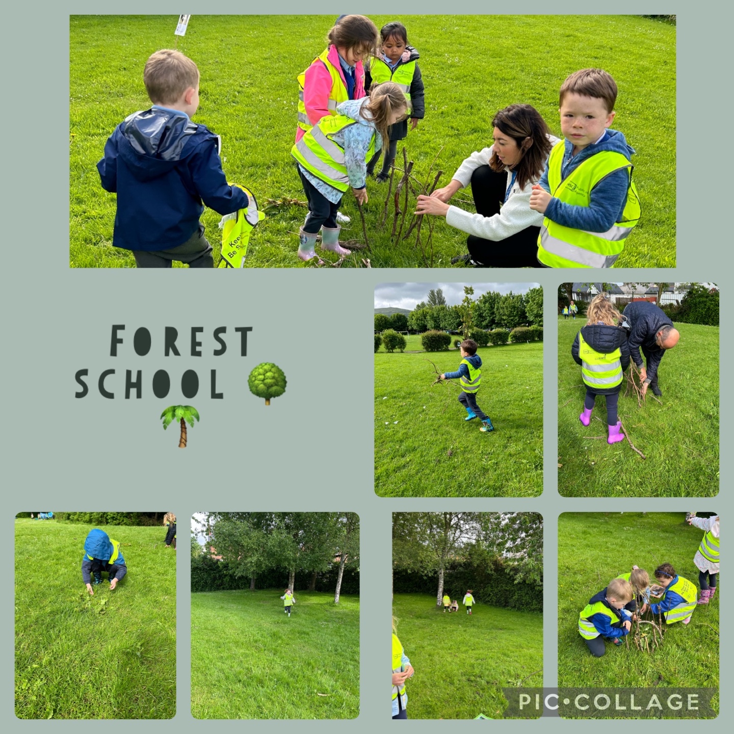 Challenge Forest Schools In Northern Ireland challenge-forest-schools-in-northern-ireland