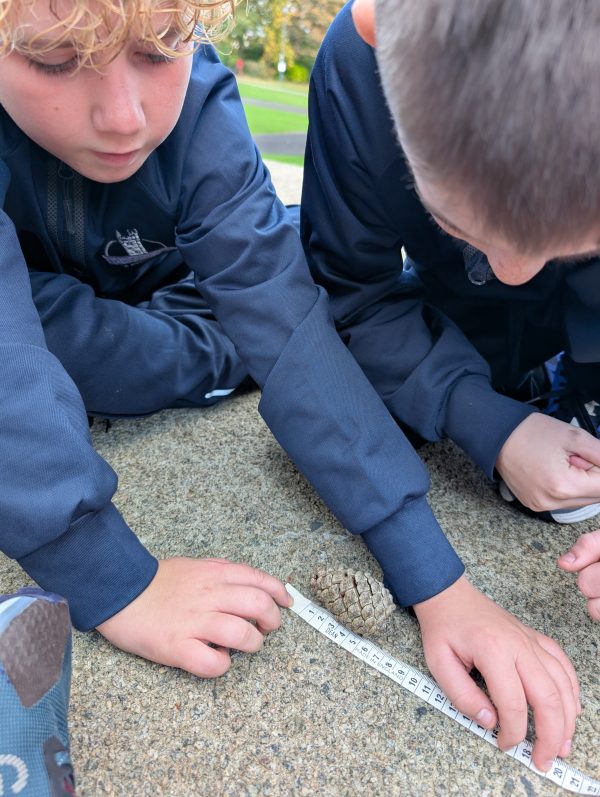 PXL_20251009_100615804