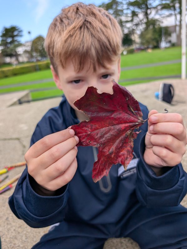 PXL_20251009_100801069