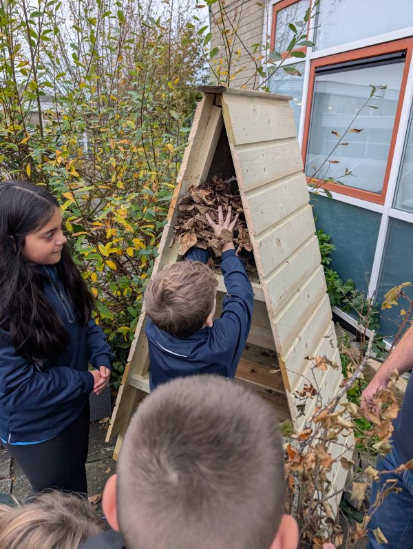 PXL_20251113_131310701