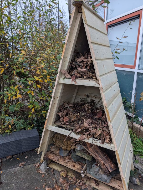 PXL_20251113_131854956