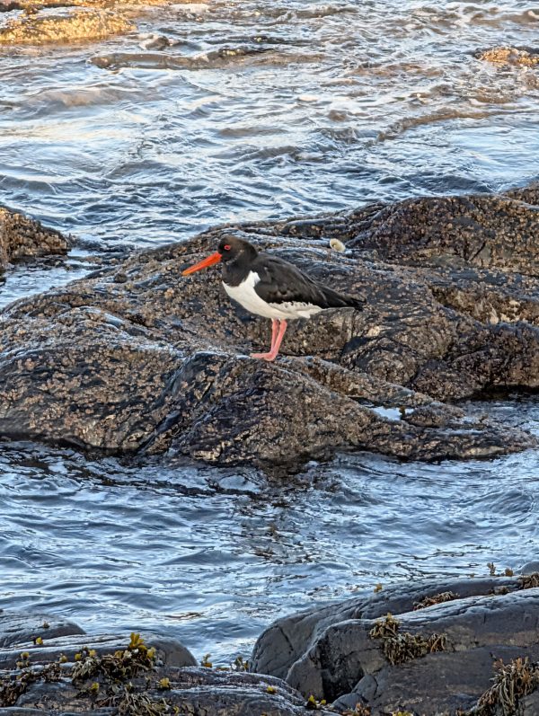 PXL_20251203_112705369