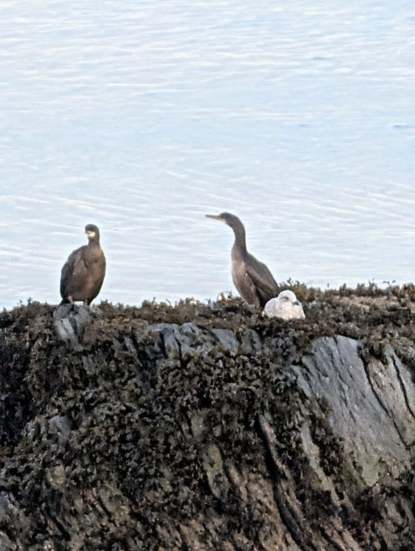 PXL_20251203_120509731