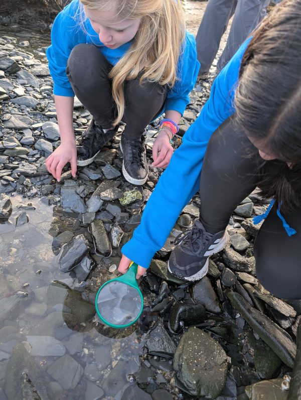 PXL_20251203_125416581.MP_