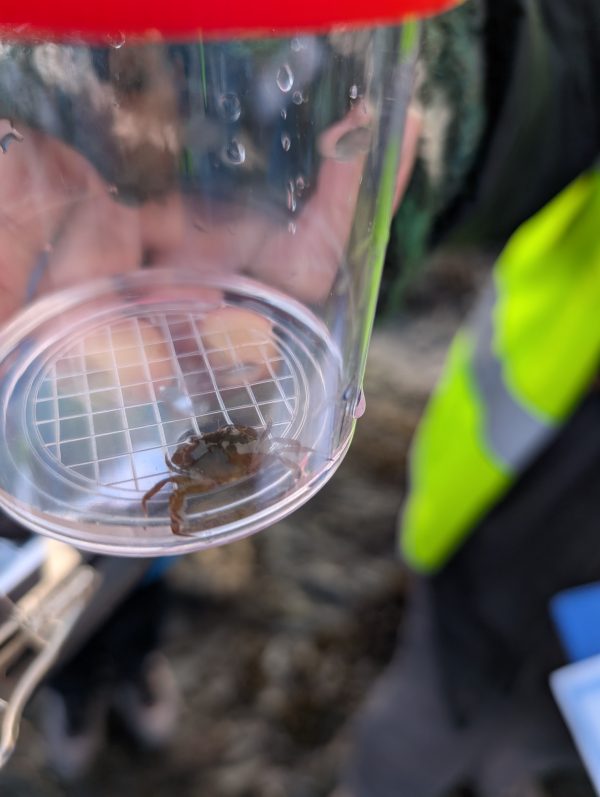 PXL_20251203_130105094.MP_