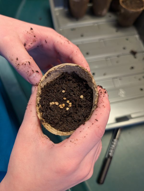 PXL_20251209_134422469.MP_