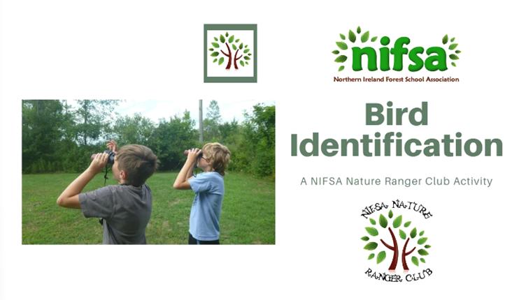 Guide to Birdwatching - Nature Ranger Club Activity • Forest Schools in ...