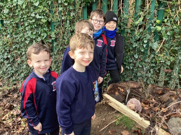 Reinforced-hedgehog-nest