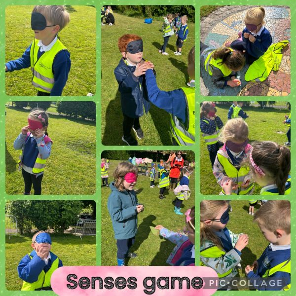 Senses-game
