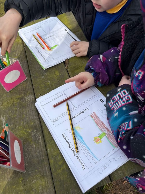 b91a6330-7e6b-4e1e-939c-6b68018b1362