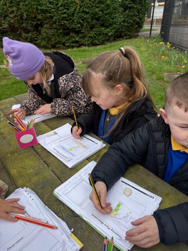 c4f11abe-c100-4756-beca-59673bc1f796