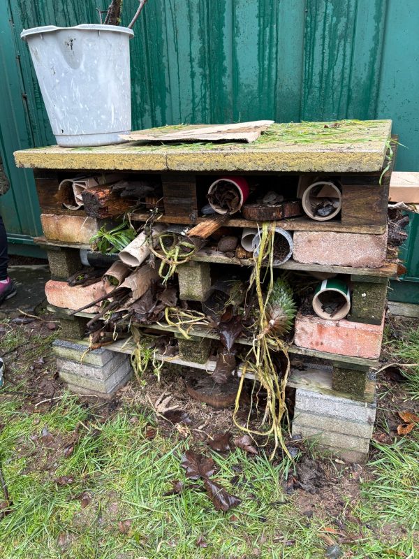 d5456bbf-1f41-49dd-a6fd-0c293c09ca251