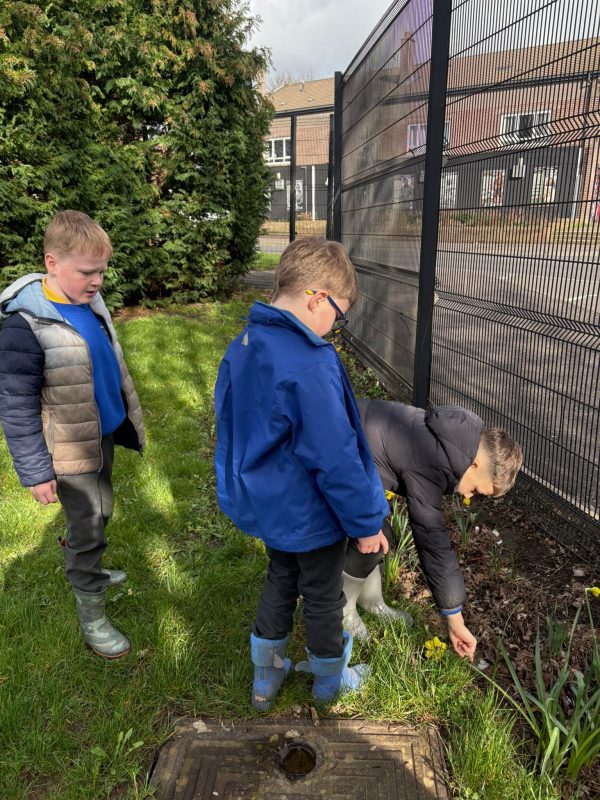 de0f86d5-47dd-4da9-b905-79a672c1fd67