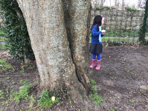 easter-hunt