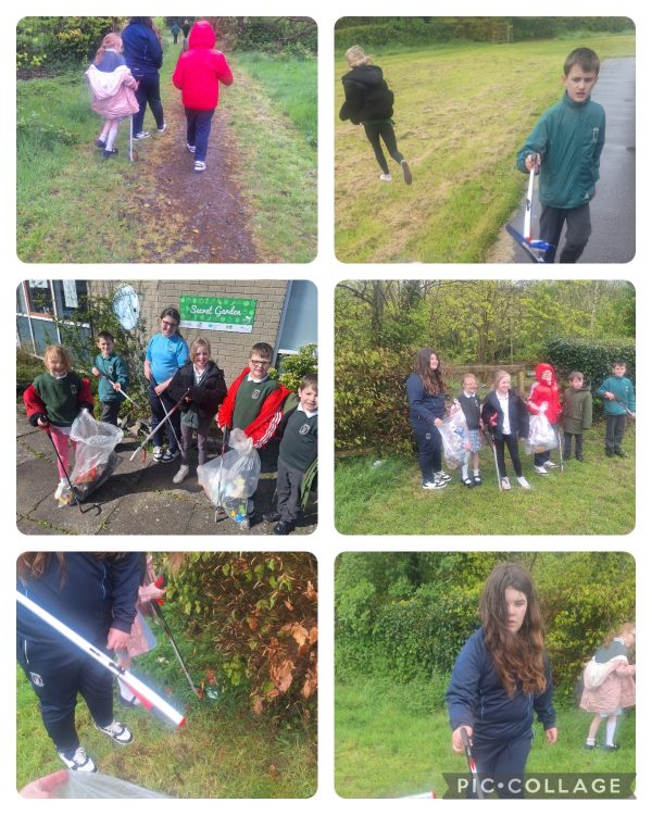 eco-council-litter-pick