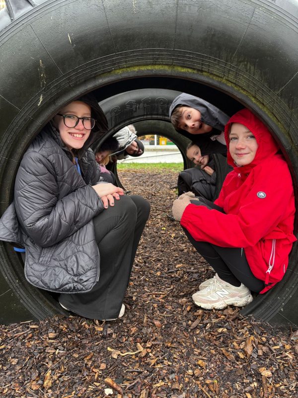 ee3a50cb-fdd5-4ca9-bab1-11d69c79d0f51