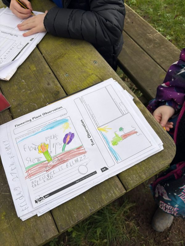 f8d75f04-0fe2-4b5d-b7df-ab11ac335d13