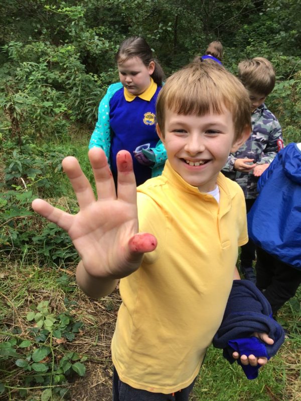 harry-blackberry-picking