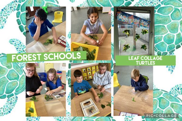 image-20250603-131735-e081b04d