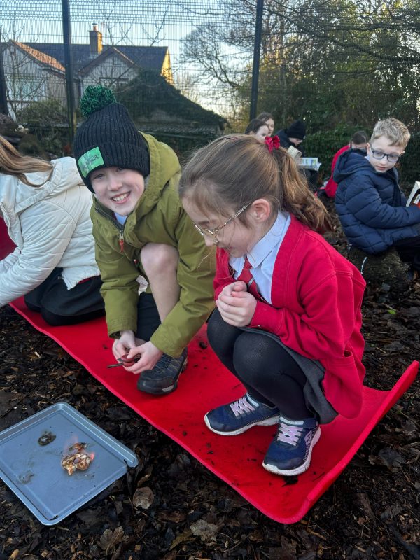 image-20251216-134036-31bf359f