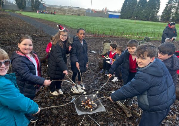 image-20251219-110756-f63377c2