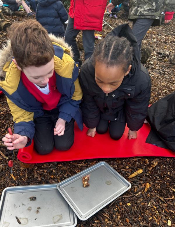 image-20251219-111131-230aa09b