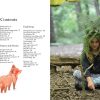 Wild Days - Outdoor Play for Young Adventurers - Image 2