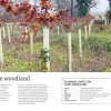 Woodlander - A guide to sustainable woodland management - Image 3
