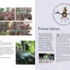 Wild Days - Outdoor Play for Young Adventurers - Image 4