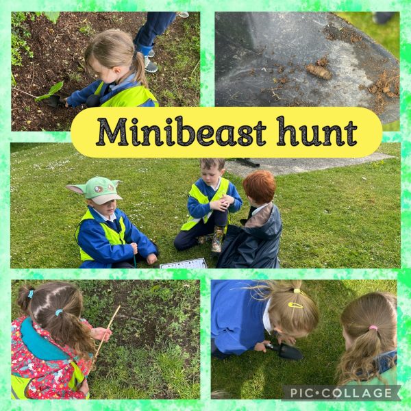 minibeast-hunt