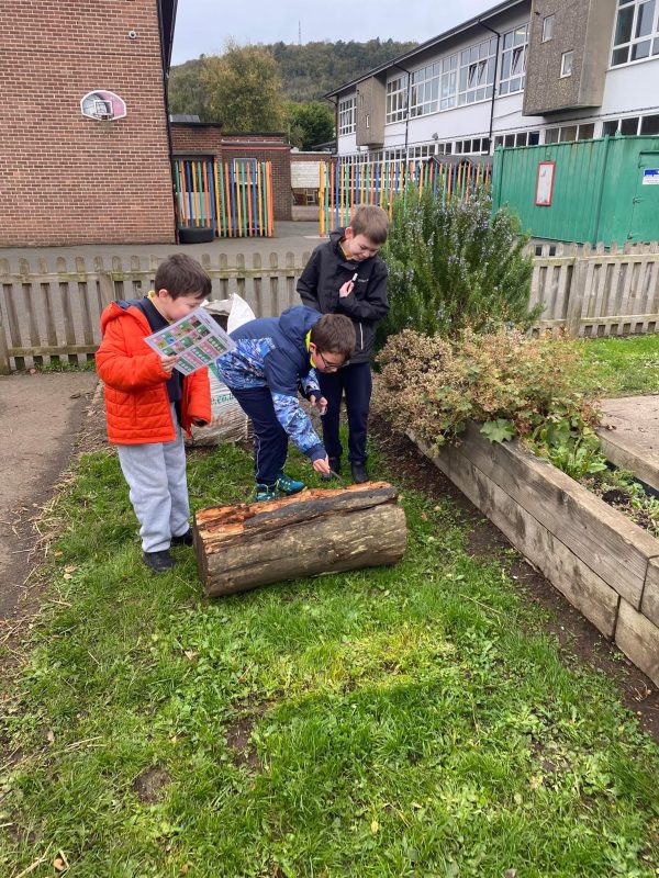 original-48EC5914-3FF9-4B4D-A59D-F331802C81AD2