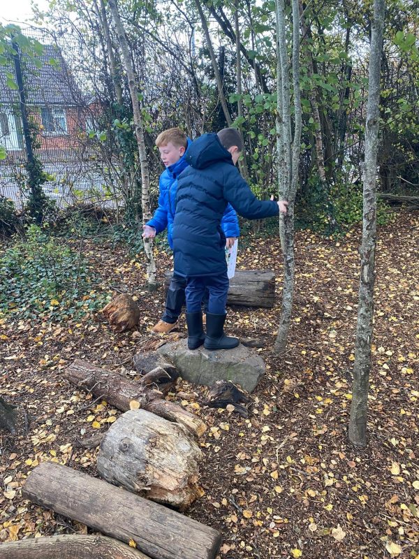 original-AFD66806-89AA-41A8-8810-D7BA010941E61