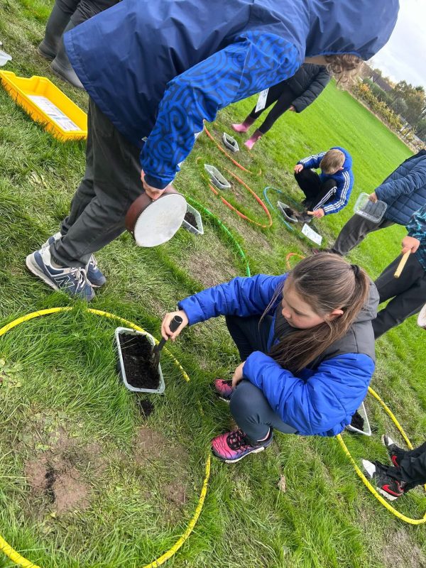 original-D6062E16-D949-43E2-9229-A10869CDCF25