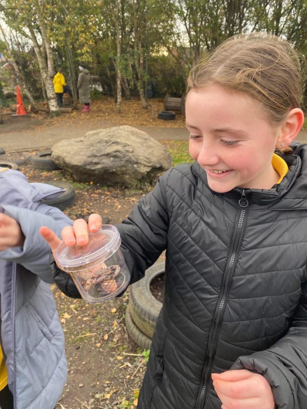 original-ED278D4E-DD9D-415F-AA5F-3B3BF2617A581