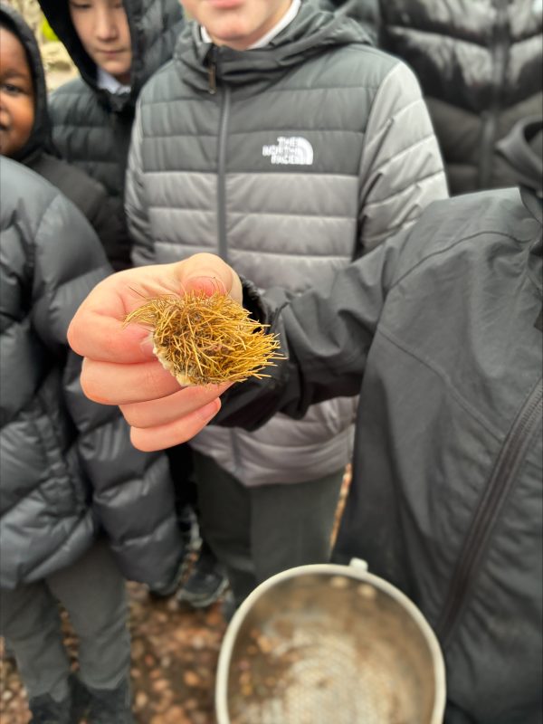 processed-084EB139-2F90-4210-B968-36D41B2C1260